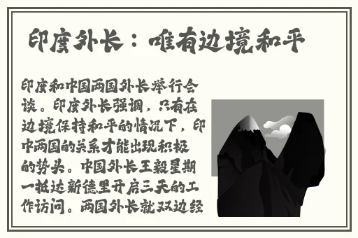 爆炒假少爷